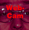 [do you want to see my first WebCam?]